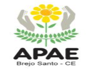 You are currently viewing APAE – ASSCOCIAÇÃO DE PAIS E AMIGOS DOS EXCEPCIONAIS DE BREJO SANTO – out/nov/dez 2021